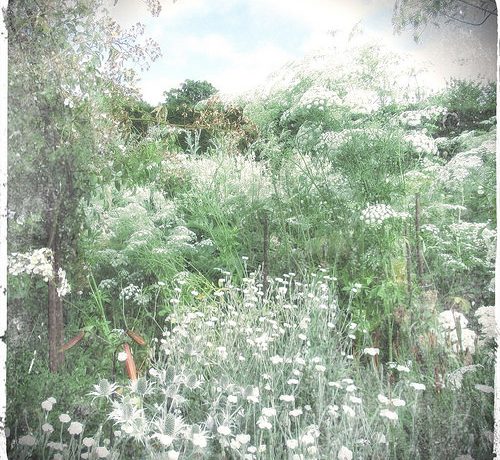 The White Garden, Sissinghurst - by Yang-May Ooi, to illustrate a blogpost on timelessness