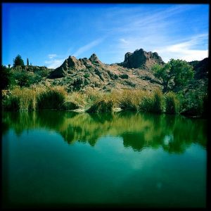 Desert Oasis, to illustrate a blog post about ReWilding My Life by creative actionista Yang-May Ooi