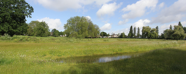 Ladywell Fields by reid smith on flickr.com (CCL) to illustrate a blogpost by Yang-May Ooi about cycling