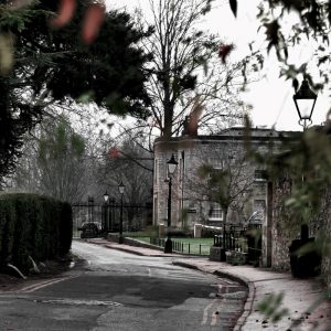 Rose Lane Oxford - Oxford Moments blog by Yang-May Ooi